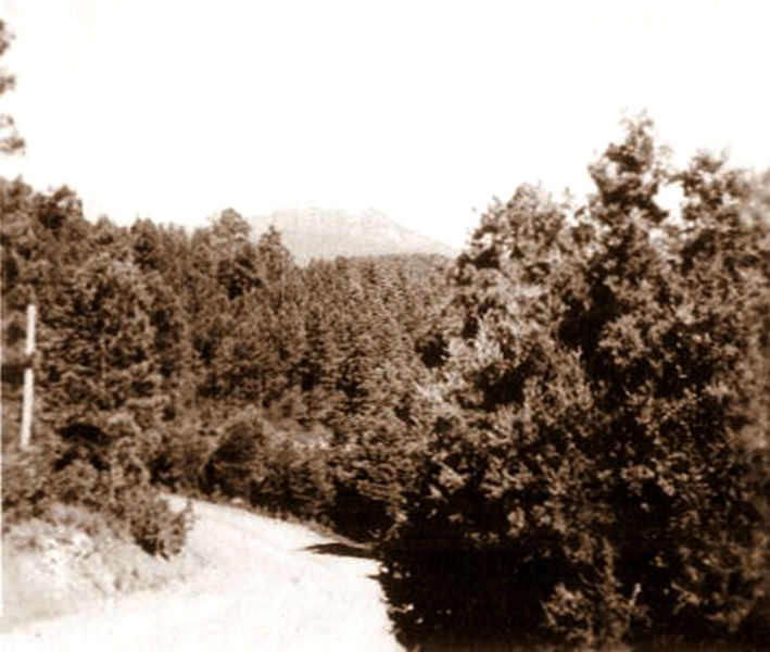 Near Ruidoso, 1941
